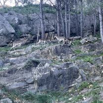 Avenida Valencia, Jérica a Avenida Valencia, Jérica