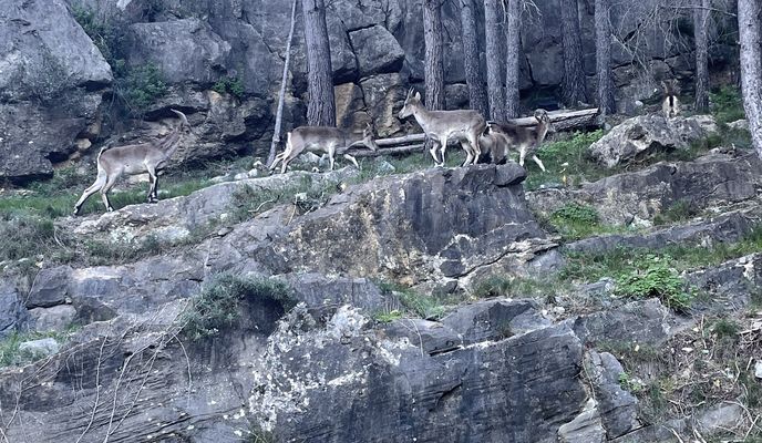 Foto 1 der Bikemap-Route "Avenida Valencia, Jérica a Avenida Valencia, Jérica"