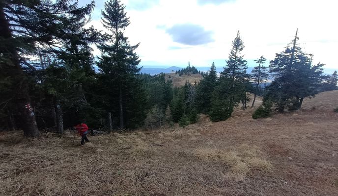 Photo 1 of the Bikemap route "Route in Brasov"