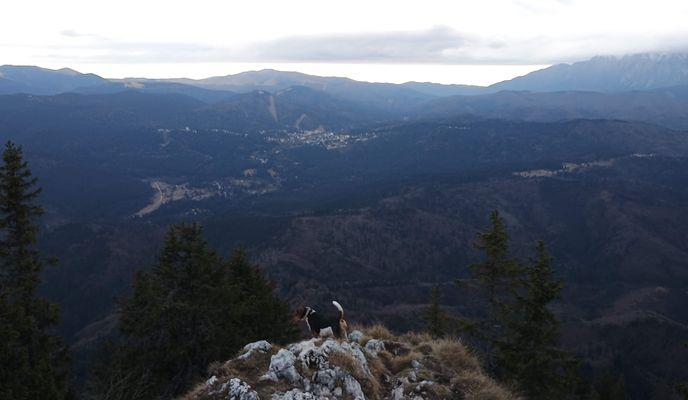 Photo 2 of the Bikemap route "Route in Brasov"