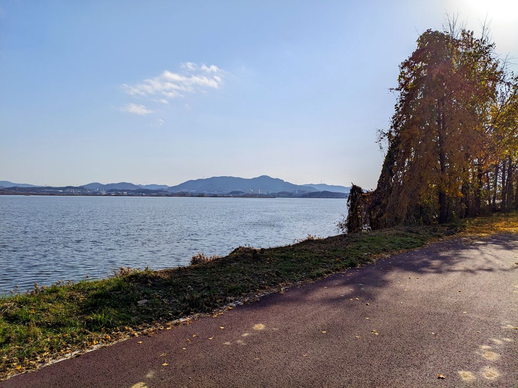 Ph0]에서 경로비전동