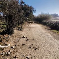 17 Roses Mas-Oliva Bassa-d'en-Coll Rec-Mas-dels-Arbres Mas-Fumats Palau-Saverdera Pau Espelt Vilaüt Ciutadella