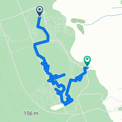 Muriwai Beach to Muriwai Beach