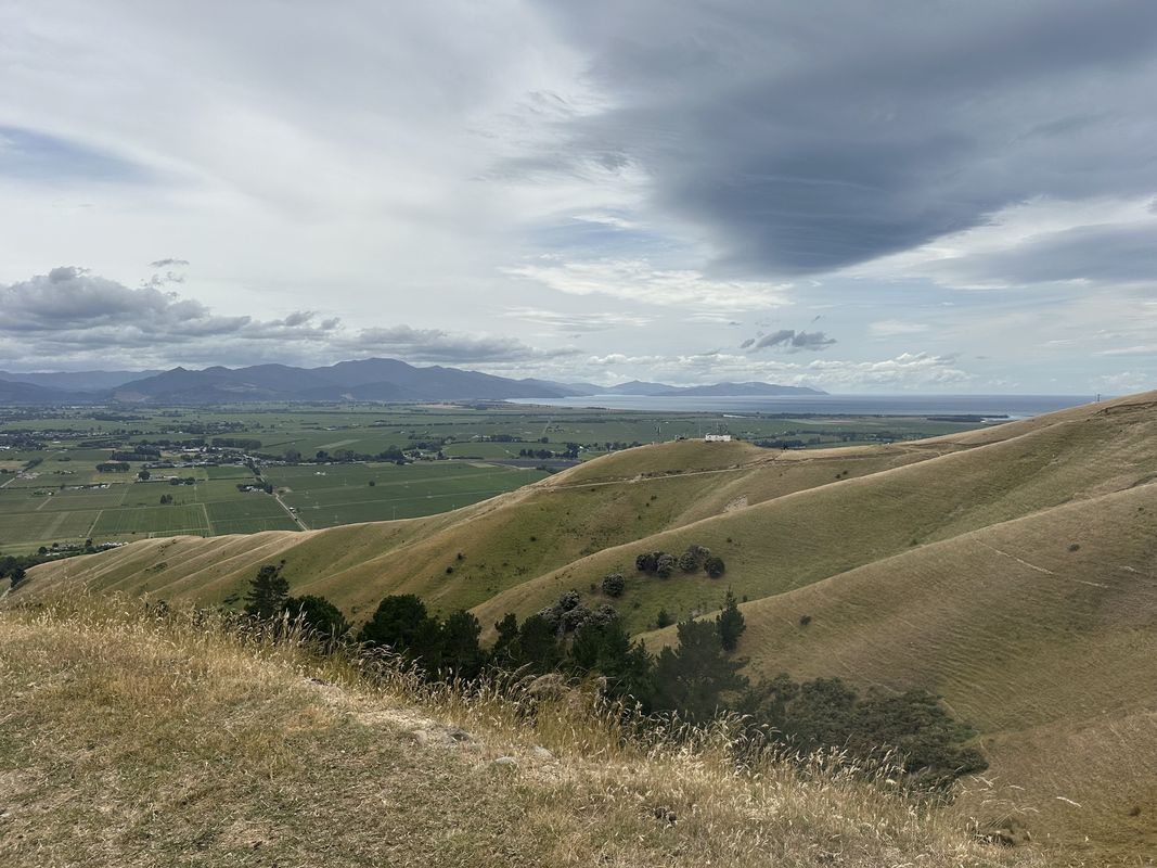 Witherlea, Blenheim to Redwood St, Blenheim