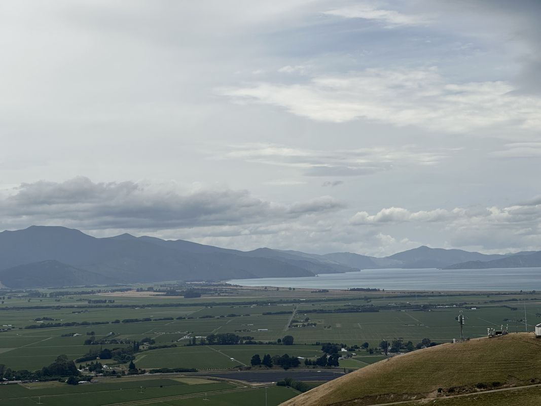 Witherlea, Blenheim to Redwood St, Blenheim