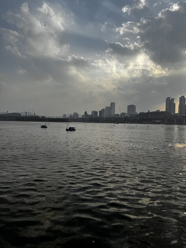 마장동, 서울특별시에서 신천동, 서울특별시까지