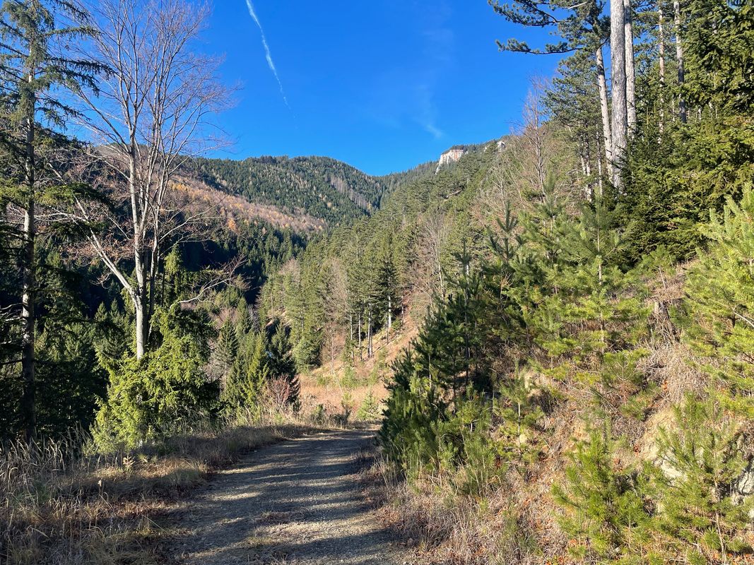 Rec Starting to climb 🚵‍♂️🥵