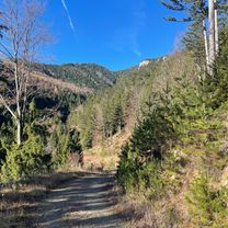 Rec Starting to climb 🚵‍♂️🥵