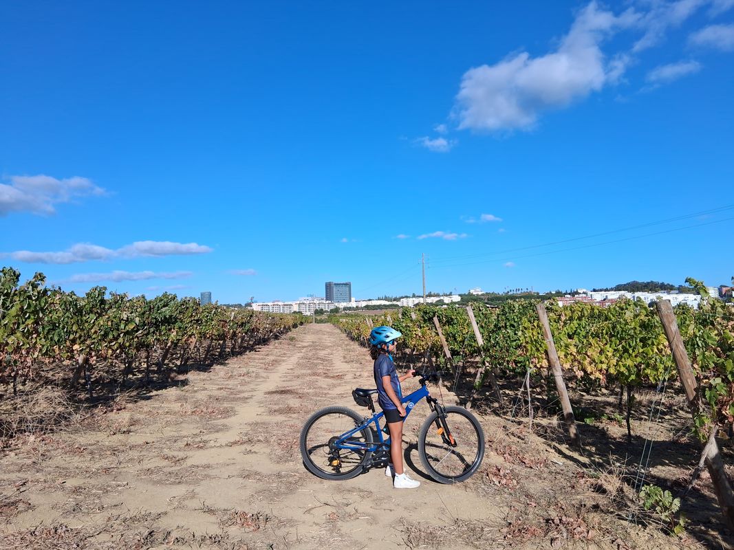 De Alameda Vieira da Silva a Rua Guilhermina Suggia 93A