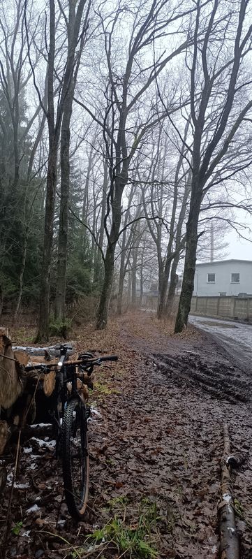 Высокоскоростная трасса