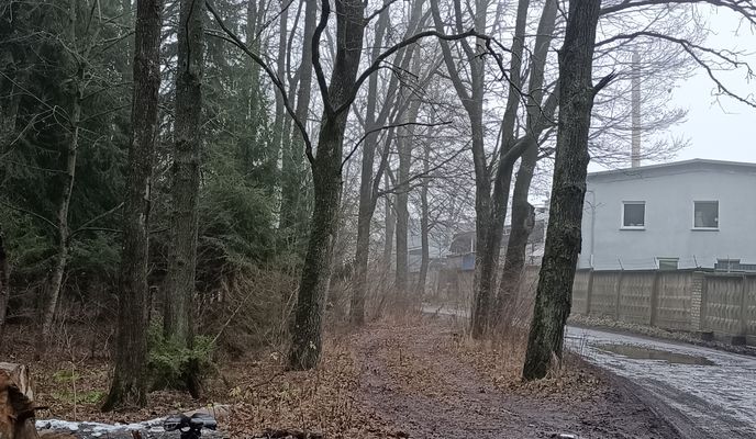 Foto 1 del percorso Bikemap "Высокоскоростная трасса"