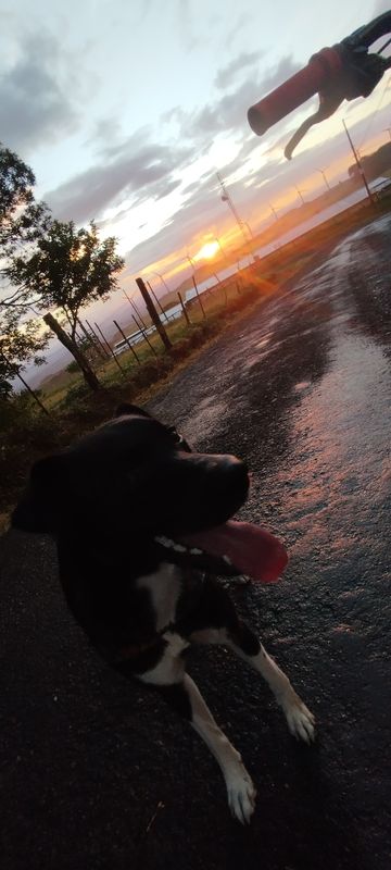 Ruta De Preparación Morenas