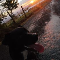 Foto 2 von dieser Route