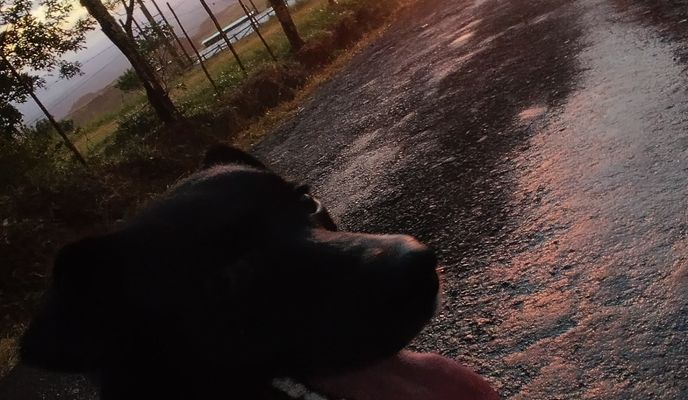 Foto 2 der Bikemap-Route "Ruta De Preparación Morenas"