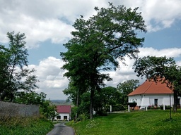 Destacado 8 en la ruta de Bikemap "Okruh přes Žehuň,Dymokury a Lovčice" Destacado 8 en la ruta de Bikemap "Okruh přes Žehuň,Dymokury a Lovčice"