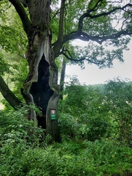 Destacado 18 en la ruta de Bikemap "Okruh přes Žehuň,Dymokury a Lovčice" Destacado 18 en la ruta de Bikemap "Okruh přes Žehuň,Dymokury a Lovčice"