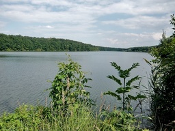 Destacado 14 en la ruta de Bikemap "Okruh přes Žehuň,Dymokury a Lovčice" Destacado 14 en la ruta de Bikemap "Okruh přes Žehuň,Dymokury a Lovčice"