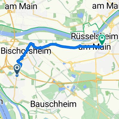 دوچرخه سازی روسلسهایم