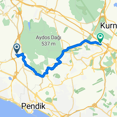 Serçe Sk., Kartal to Crowne Plaza İstanbul Asia, Pendik