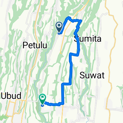 Afternoon Jalan Jalan in Ubud