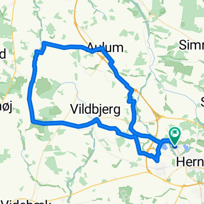Herningløbet 62 km. 2012