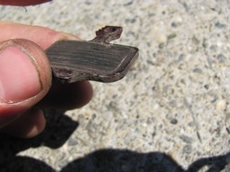 Highlight 1 along the Bikemap route "Massiv Alp 7: Sargans- Elm" Highlight 1 along the Bikemap route "Massiv Alp 7: Sargans- Elm"