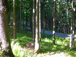 Hebe Bild 3 entlang der Bikemap-Route "Okruh přes Adršpach,Polsko a Bernartice" hervor