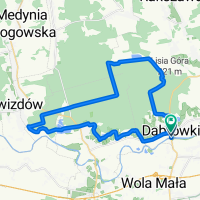 Las w Dąbrówkach 23 IX 2012