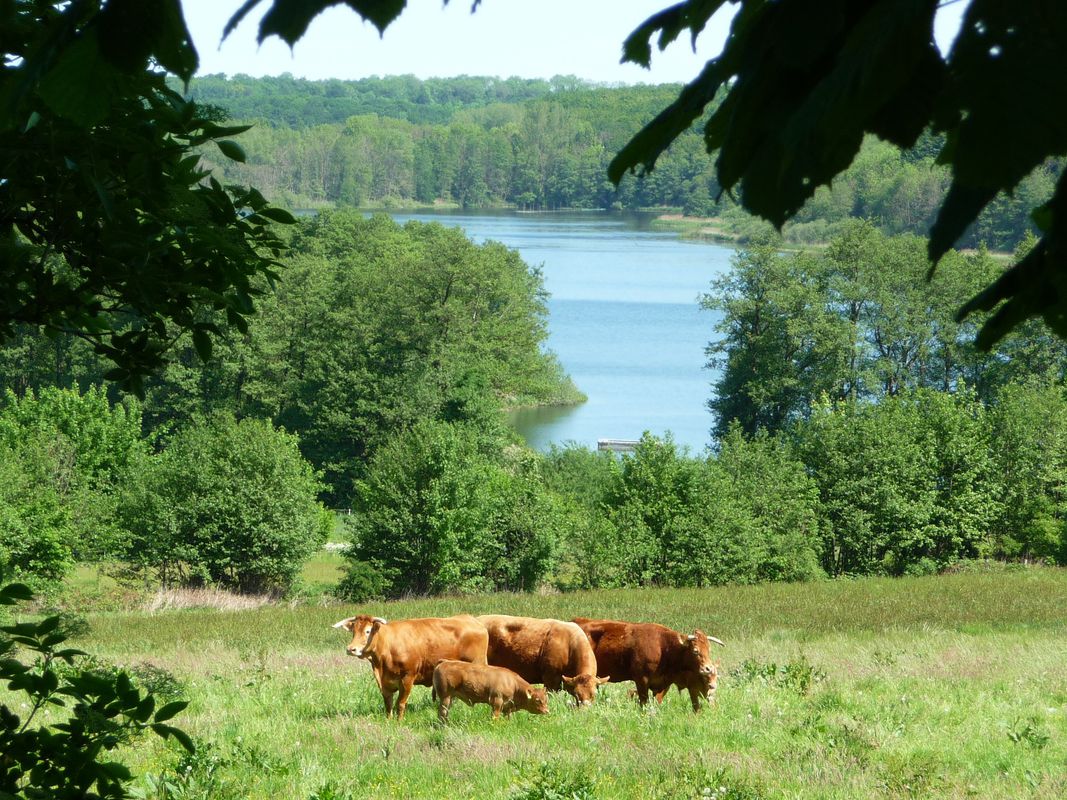 Stift-Westensee-Stift
