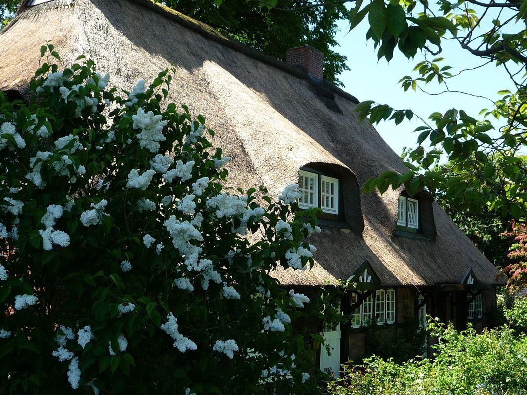 Stift-Westensee-Stift