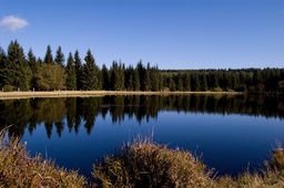 Highlight 3 along the Bikemap route "Z Moldavy do Krupky po německé straně"