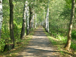 Hebe Bild 37 entlang der Bikemap-Route "Hy. Lübbenau Peitz und zurück" hervor