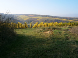 Highlight 4 along the Bikemap route "Taubertal-Panorama Teil 2"
