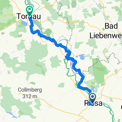  Elbe-Radweg: Torgau - Strehla/Riesa CLONED FROM ROUTE 42