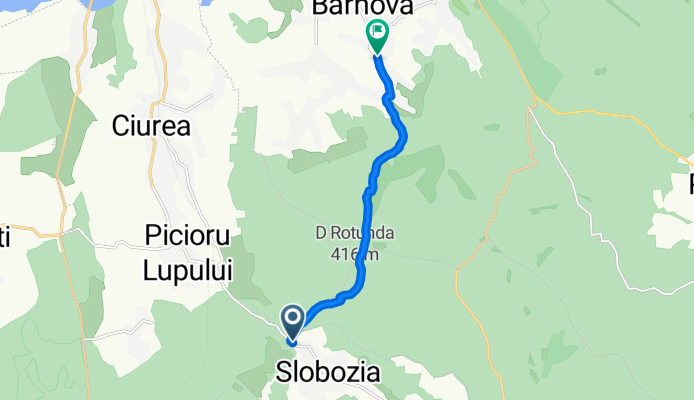 punctu rosu