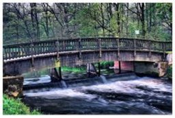 Highlight 8 along the Bikemap route "Schloss Gymnich"