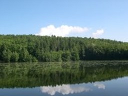 Highlight 5 along the Bikemap route "Schloss Gymnich"