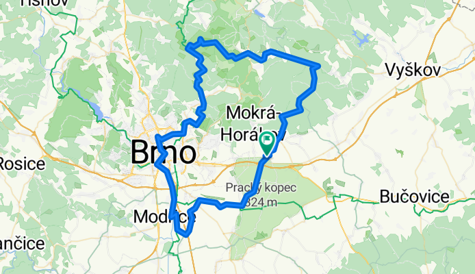 hokna sinice