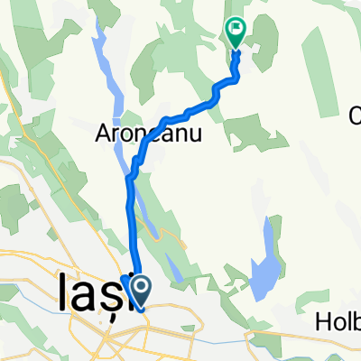 Bucsinescu - Rediu-Aldei