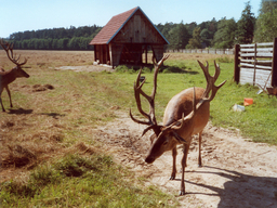 Destacado 9 en la ruta de Bikemap "Okruh přes Žehuň,Týnec a Kladruby"