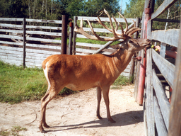 Destacado 10 en la ruta de Bikemap "Okruh přes Žehuň,Týnec a Kladruby"