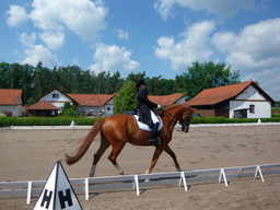 Destacado 13 en la ruta de Bikemap "Okruh přes Žehuň,Týnec a Kladruby"
