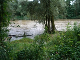 Hebe Bild 5 entlang der Bikemap-Route "hopf_au_zentrum" hervor Hebe Bild 5 entlang der Bikemap-Route "hopf_au_zentrum" hervor