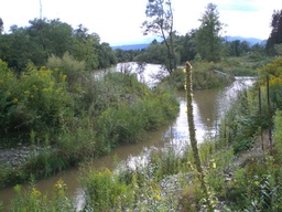 Hebe Bild 4 entlang der Bikemap-Route "hopf_au_zentrum" hervor Hebe Bild 4 entlang der Bikemap-Route "hopf_au_zentrum" hervor