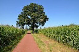 Highlight 20 along the Bikemap route "Naturpark HOHE MARK Route"