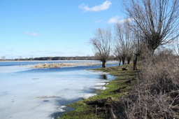Highlight 3 along the Bikemap route "2013.03.02 Legionowo - Wyszk贸w" Highlight 3 along the Bikemap route "2013.03.02 Legionowo - Wyszk贸w"