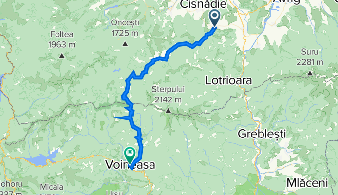 SADU-VOINEASA (DJ 105 G)