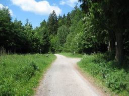 Hebe Bild 4 entlang der Bikemap-Route "Nordhausen - Stolberg" hervor