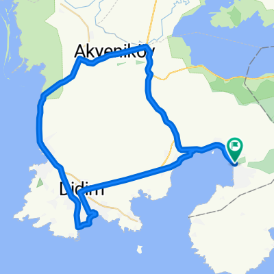 Didim1