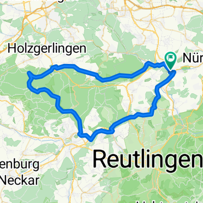 In den Schönbuch